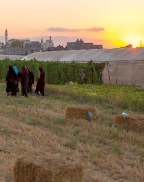 How do cooperatives ensure decent access to work and supply chains?