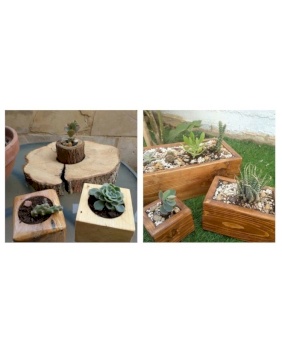 Entrepreneurship in Hebron Feature: Dalia Abu Halwi Founder of Eco-Woodwork with Dalia