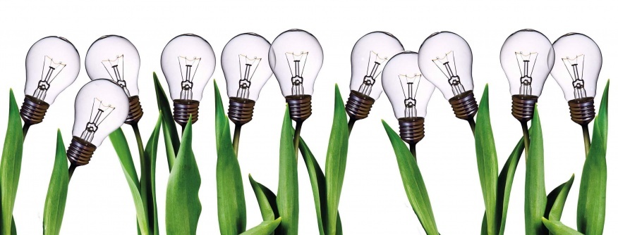 Impact over Profits: How Social Entrepreneurship Can Transform the MENA Region